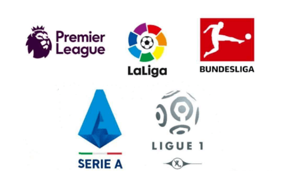 但他们丰富 但他们丰富