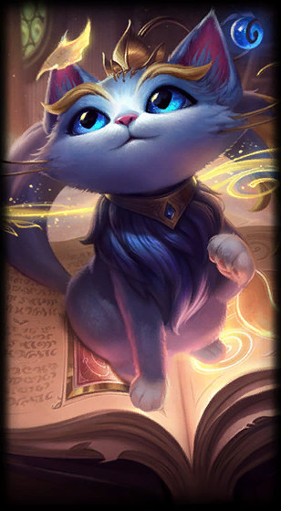 进行了针对 进行了针对