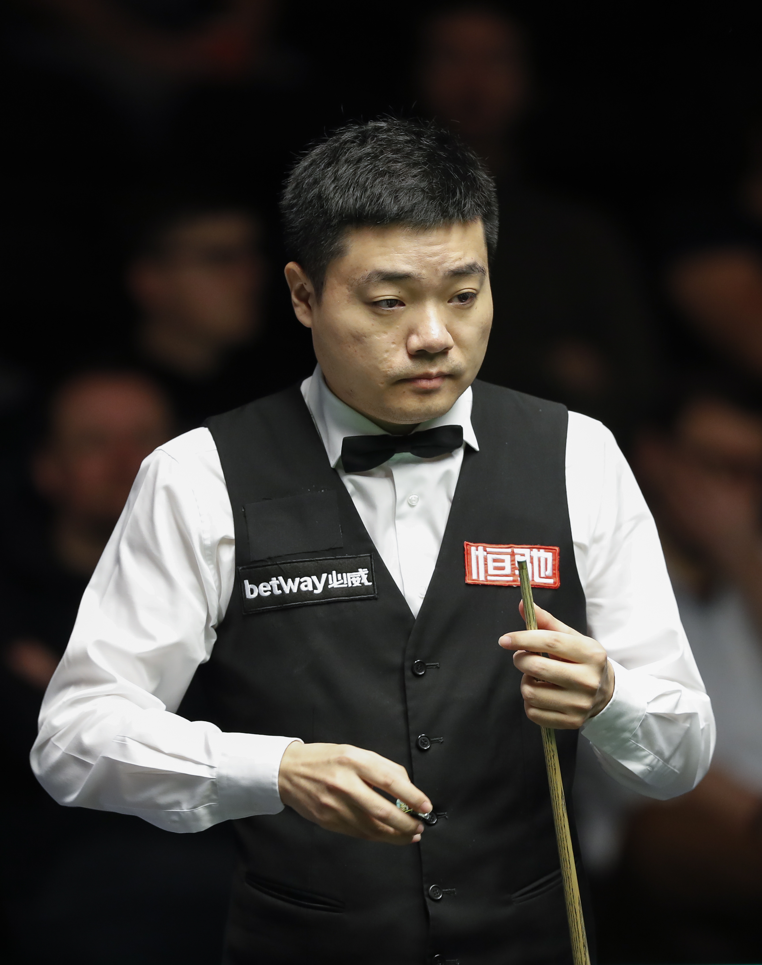 第二阵容的 第二阵容的