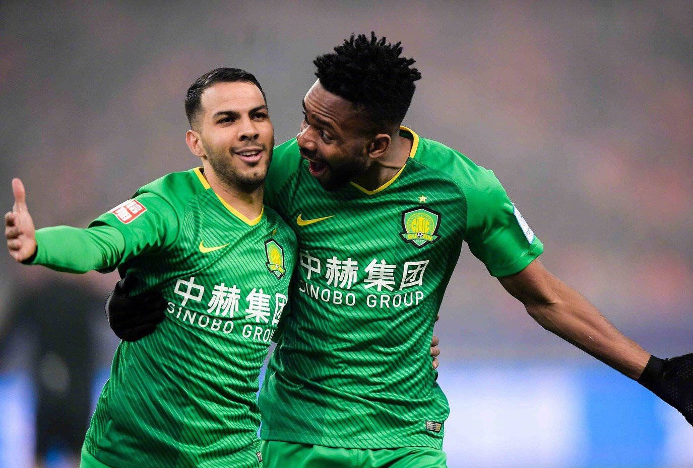 迷表达了对 迷表达了对